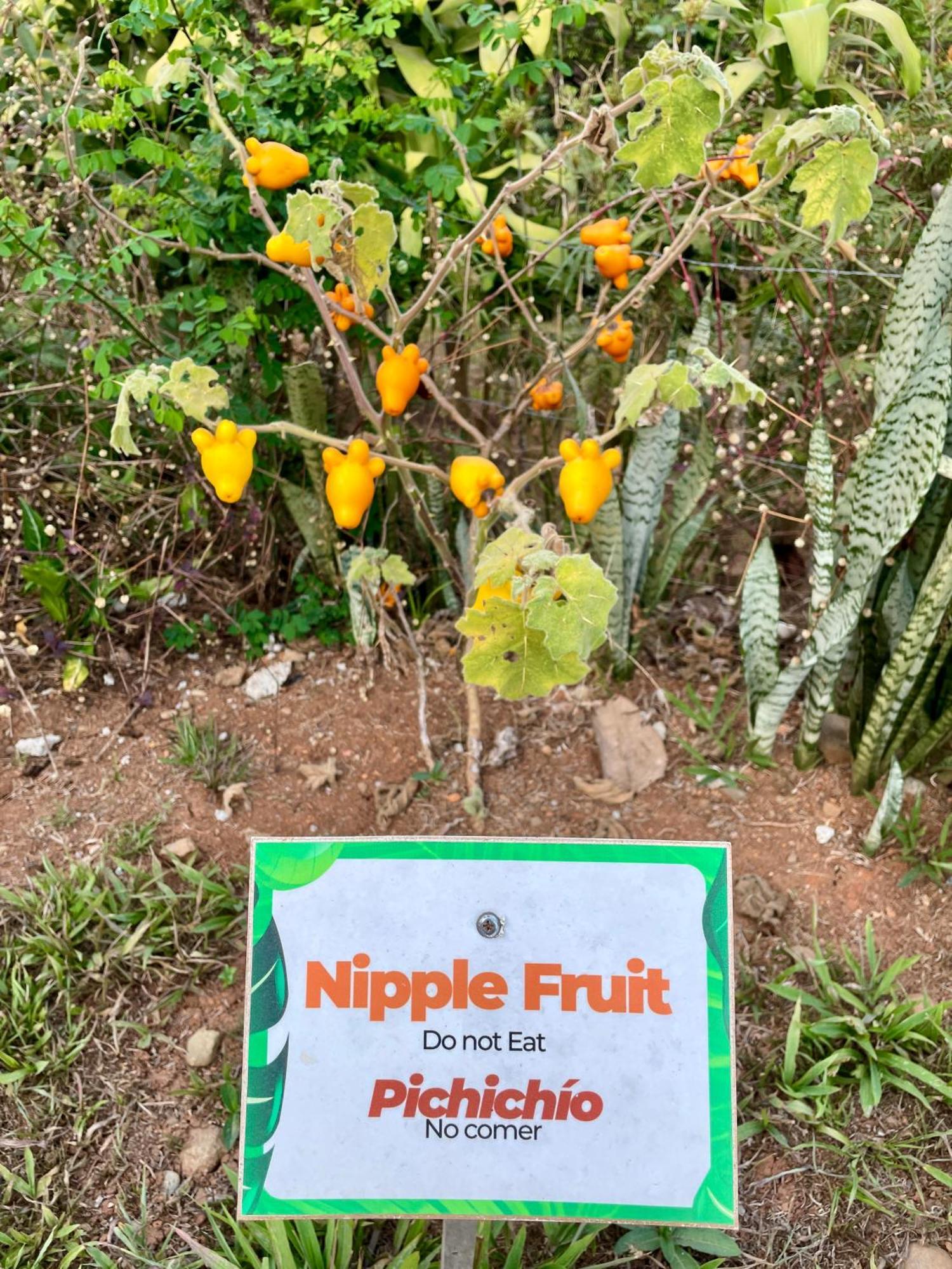 Casa Paraiso Tropical باريتا المظهر الخارجي الصورة
