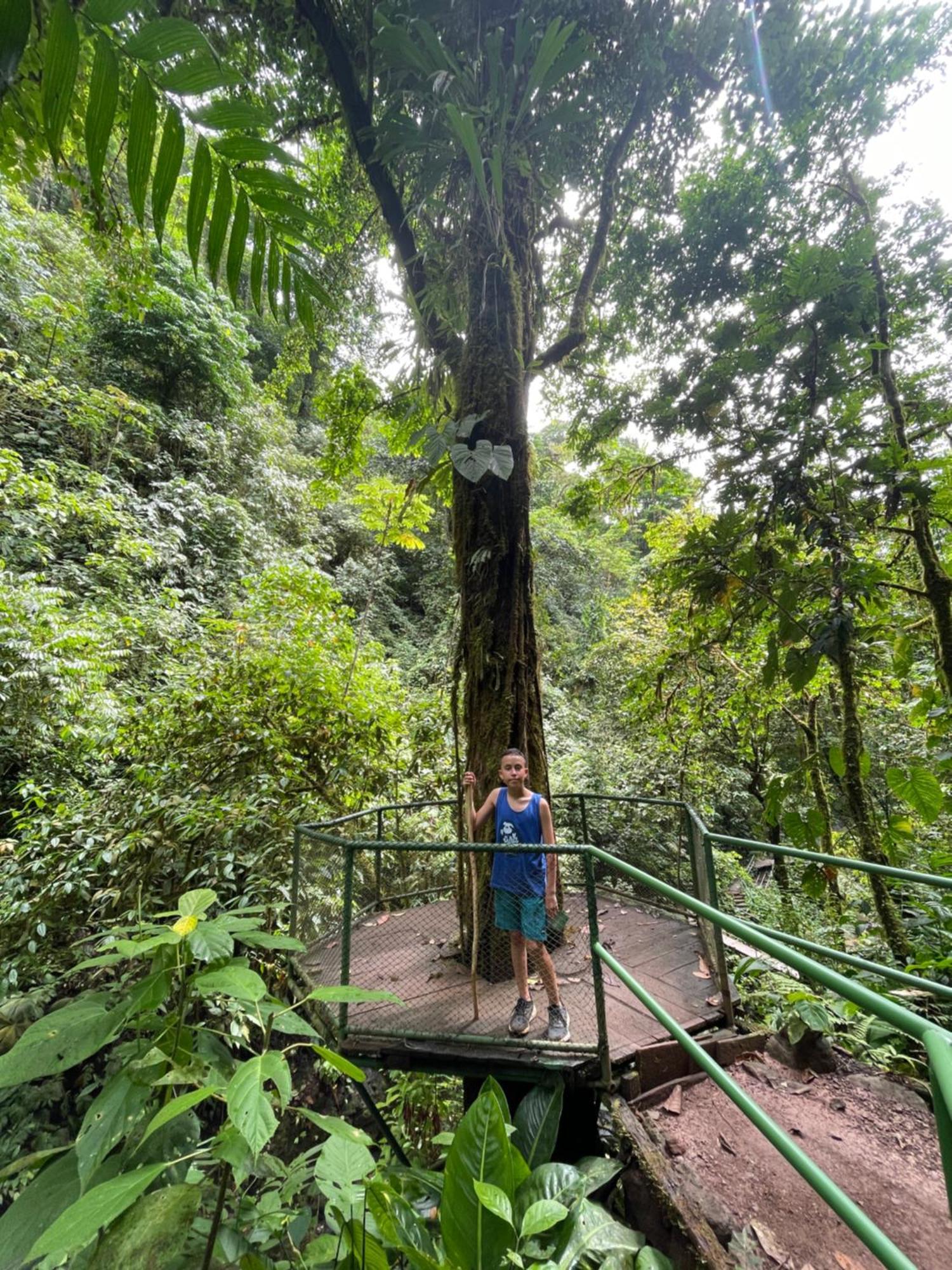 Casa Paraiso Tropical باريتا المظهر الخارجي الصورة